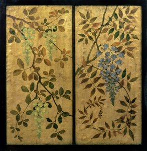 Glycine, vers 1890